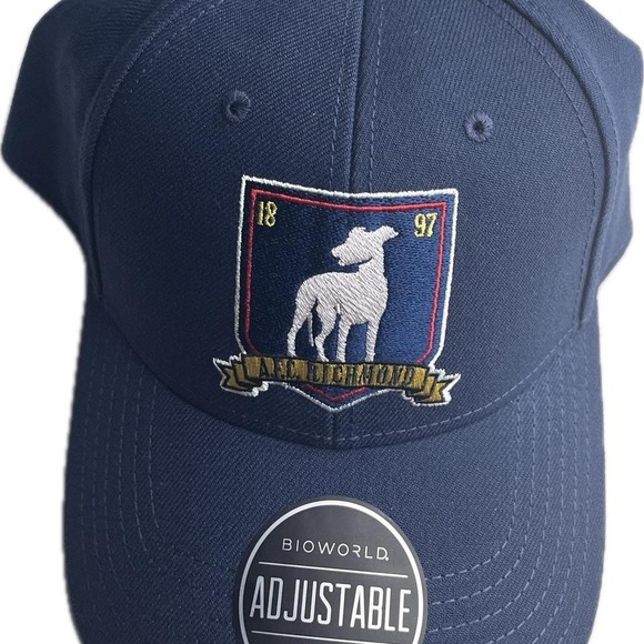 Ted Lasso Navy blue adjustable cap with embroidered logo - Picture 2 of 4